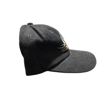 Vintage WCW Goldberg Who’s Next Hat