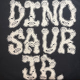 Dinosaur Jr Long Sleeve Eyeball Tee Size: Youth XL