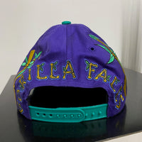 Vintage Disney's Animal Kingdom Snapback