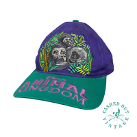 Vintage Disney's Animal Kingdom Snapback