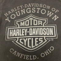 Harley-Davidson Gargoyle Lightning Tee