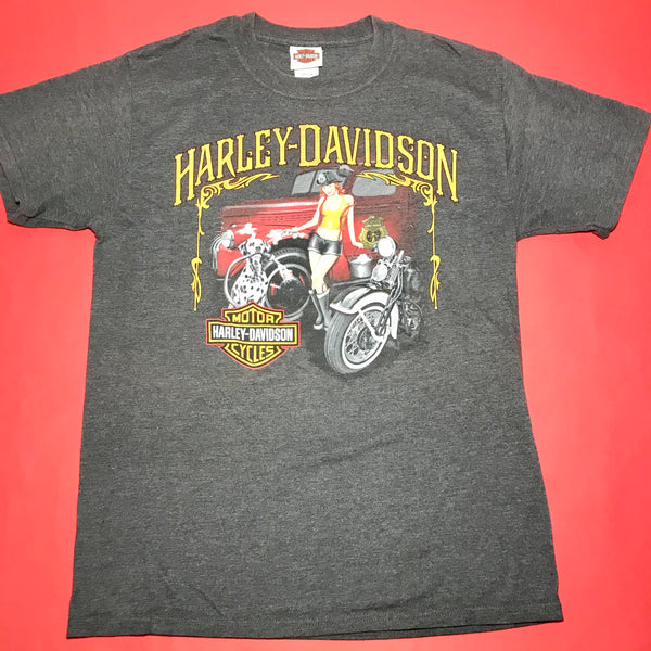 Sheldon's Harley-Davidson Auburn MA