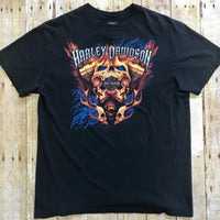 2011 Brian's Harley-Davidson of Pennsylvania